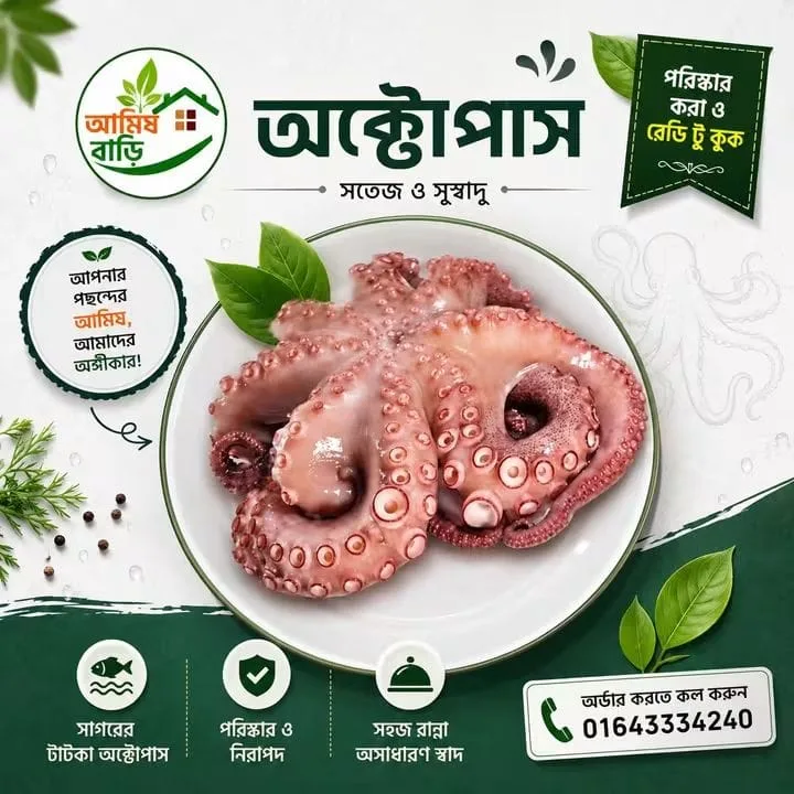 অক্টোপাস